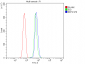 Anti-EEF2 Picoband™ Antibody (monoclonal, 5F5)